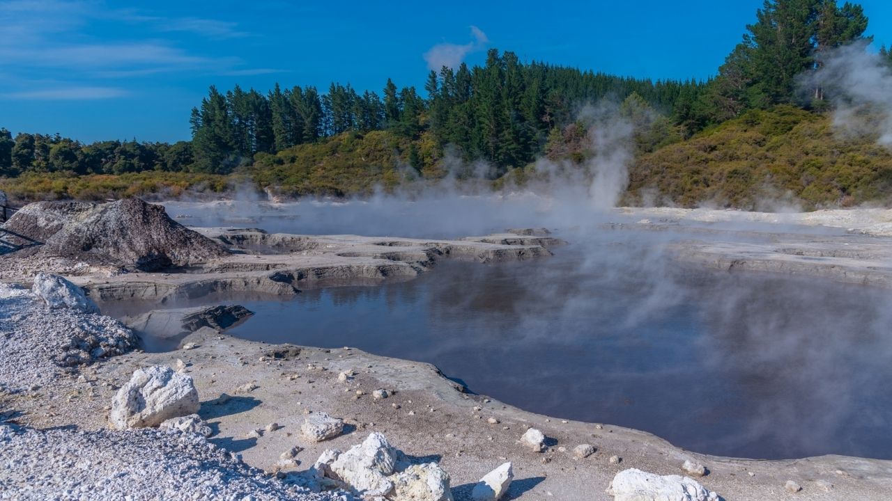 Hell's Gate Geothermal Reserve in New Zealand