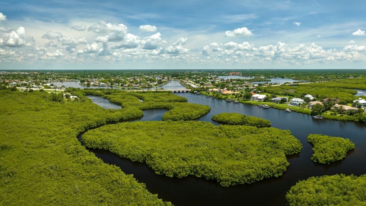 Wetland landscape in the Florida Everglades