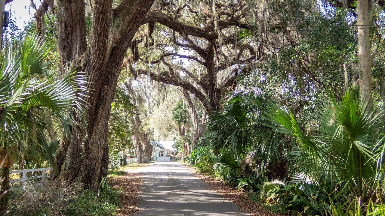 Connell Circle in the town of Micanopy in Alachua County is the oldest continually inhabited community in interior Florida USA