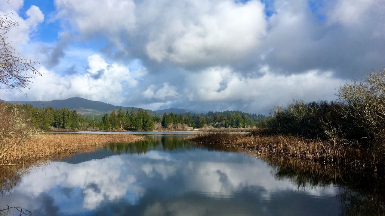 The stunning skies mirrored on tranquil Sutton Lake waters, in Florence, Oregon