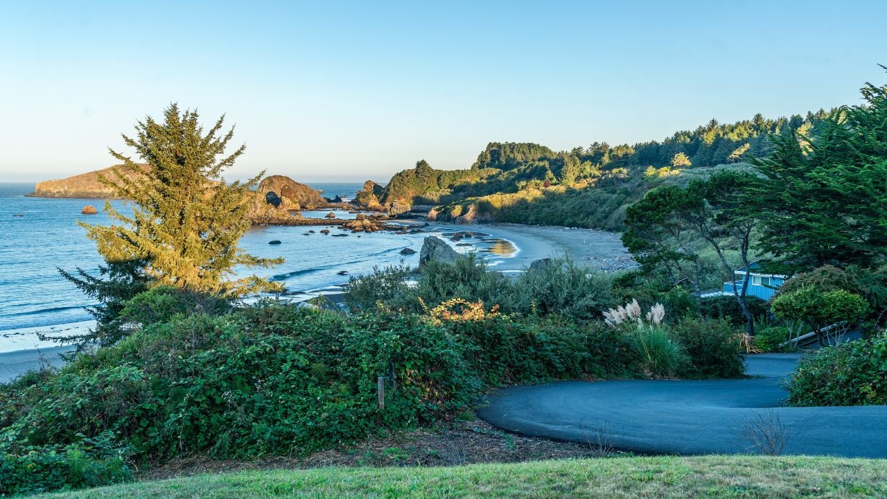 A view of Harris State Park in Brookings, Oregon.
