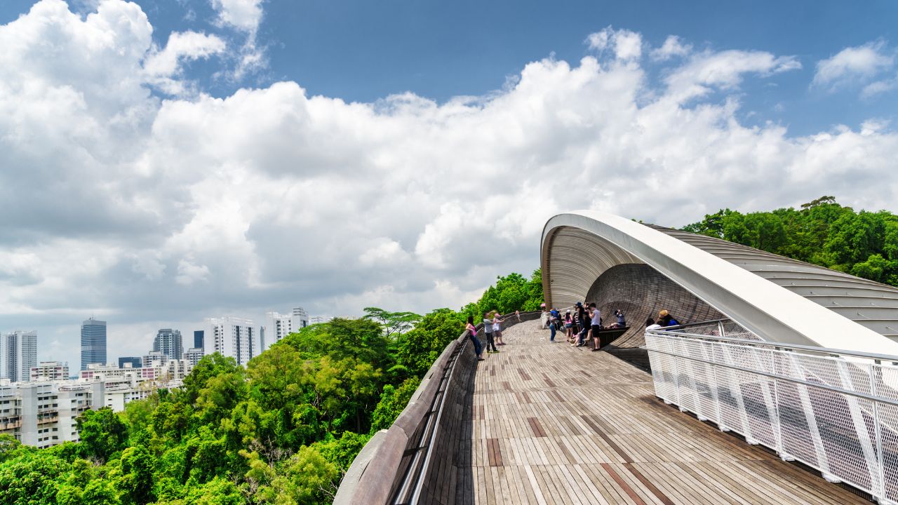 Beautiful view of amazing bridge imitating a wave. Fantastical shape of the pedestrian bridge in Singapore. Curving and twisting wooden walkway leading to a green park. Scenic cityscape.
