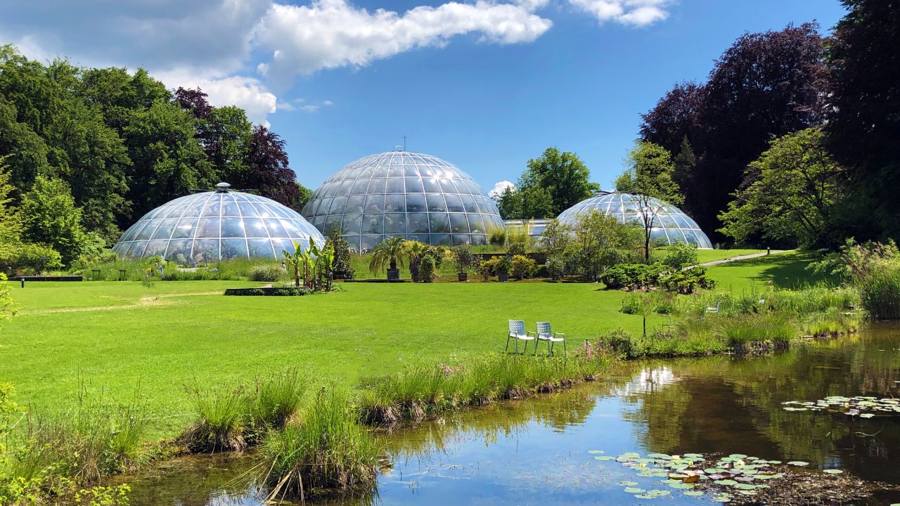 The Botanical Garden of the University of Zurich or Botanischer Garten der Universität Zürich (Botanischer Garten der Universitat Zurich / Botanischer Garten der Universitaet Zuerich), Switzerland