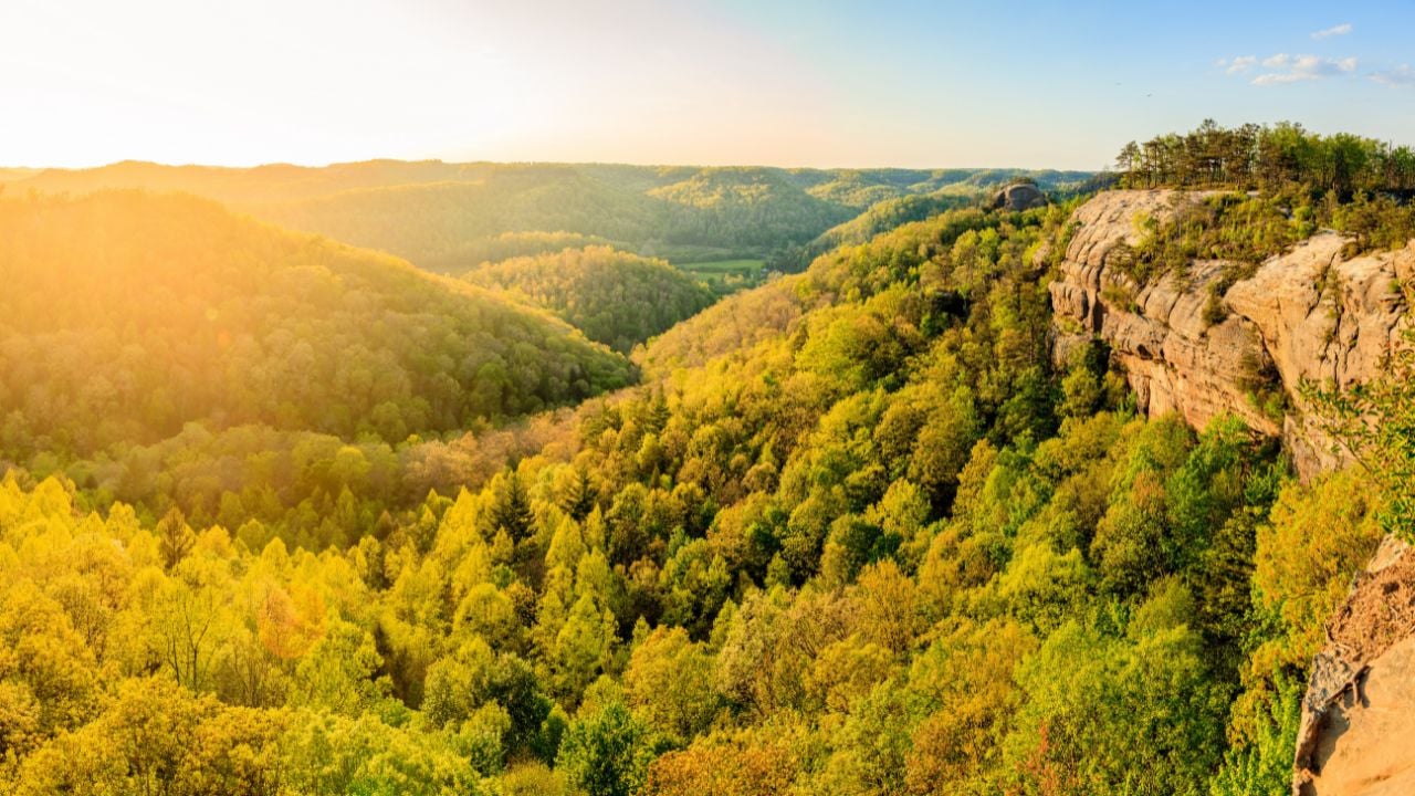 Panoramic view from the ridge top at Red River Gorge in Kentucky