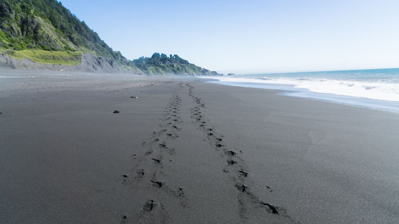 Footsteps in the black sand of the Lost Coast backpacking trail in California