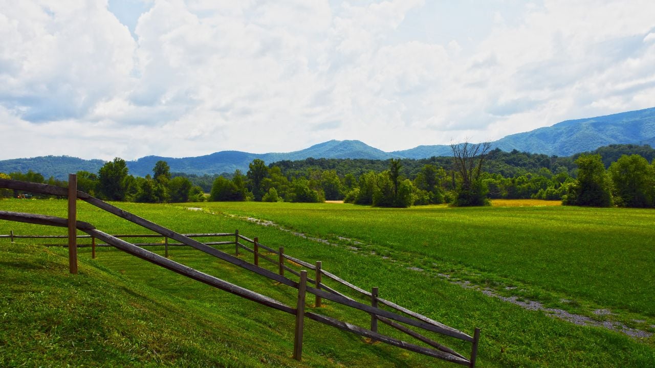 Fence and Pasture, Wears Valley, Tennessee