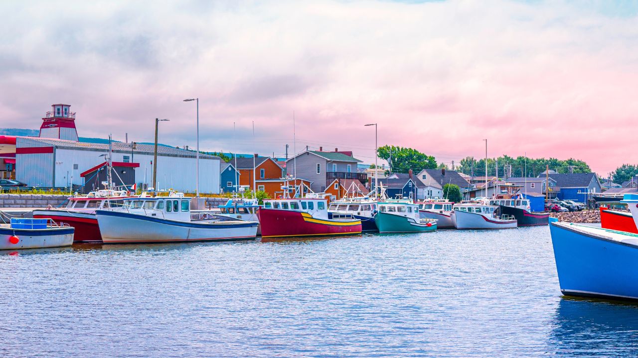 Chéticamp Harbour on Cabot Trail in Chéticamp, Nova Scotia, Canada, with moored trawlers and ships in an early summer morning