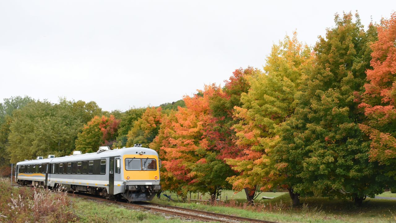 Regional train in autumn in Charlevoix, Quebec, Canada