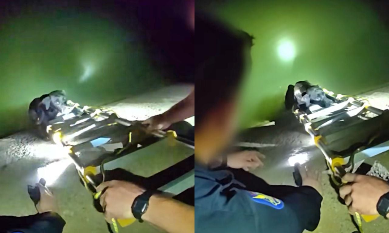 A Phoenix police officer was driving by when he spotted a dog in trouble.