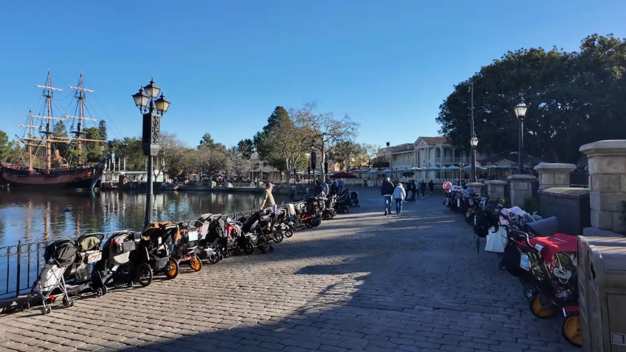 Disneyland Strollers
