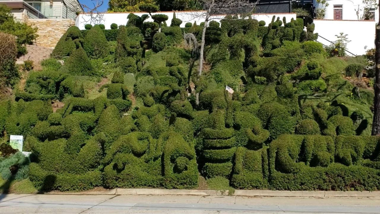 San Diego Harper Topiary Gardem