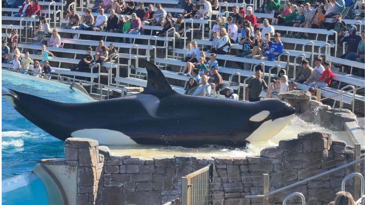 Sea World San Diego