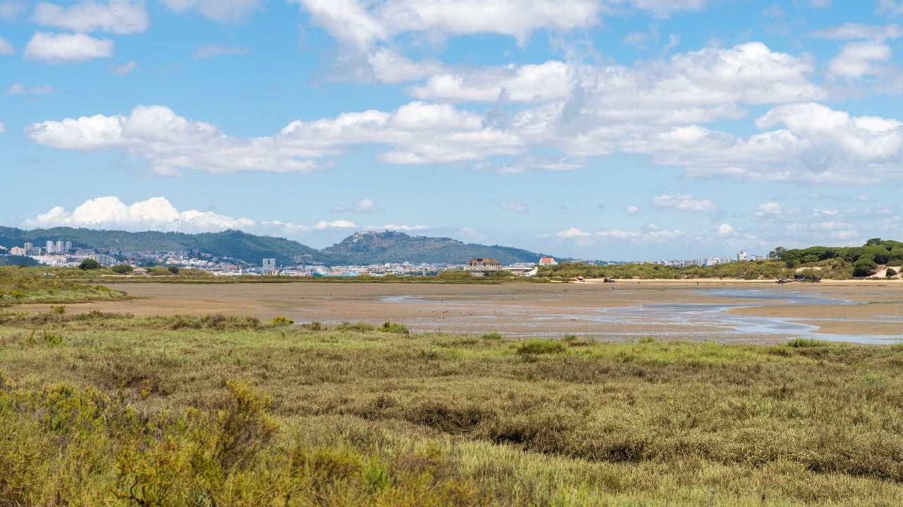 The Sado Estuary Natural Reserve in Comporta in Portugal with greenery, a swampy lake and a village in the background