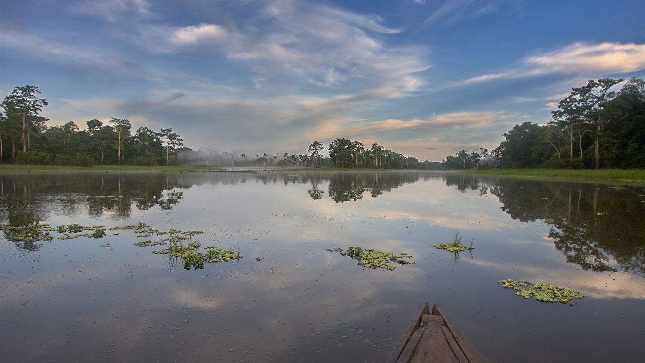 Mirror of the Amazon: The serene waters of Pacaya Samiria perfectly reflect the lush rainforest, creating a seamless blend of earth and sky. A peaceful moment captured in one of the world’s most biodi
