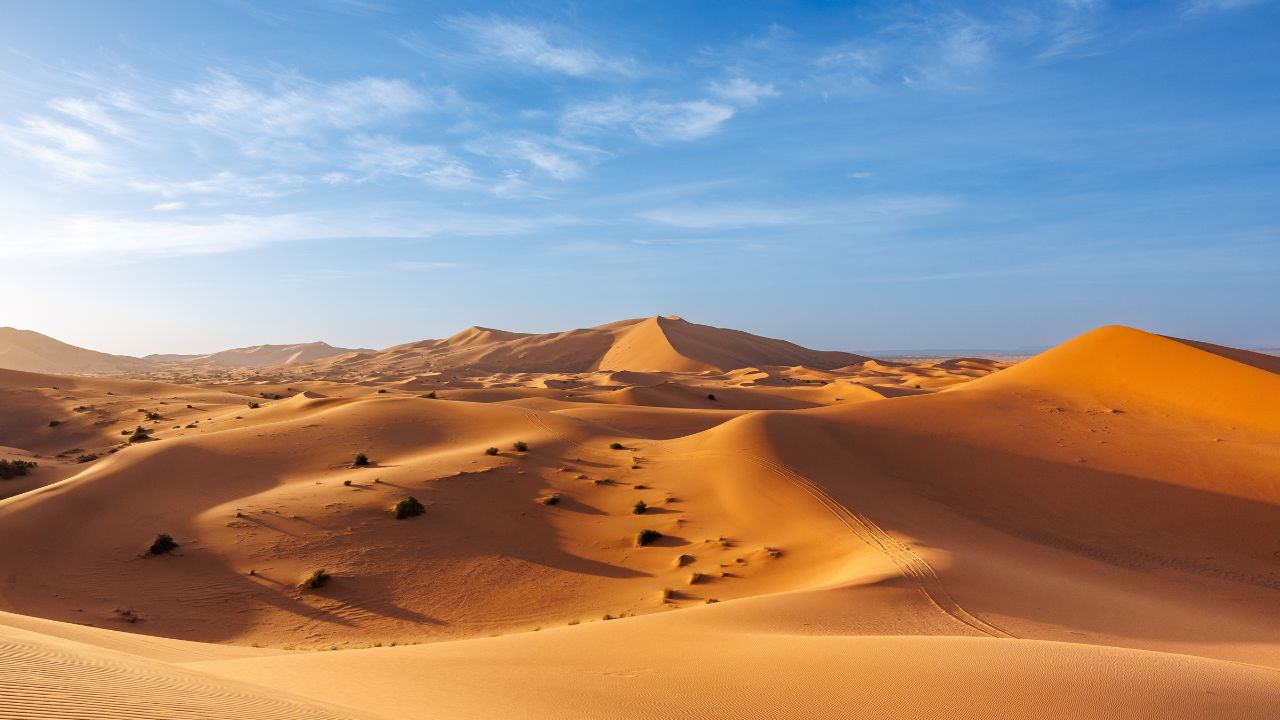 Sand dunes during sunset in Erg Chebbi desert in the east of Morocco, near Merzouga