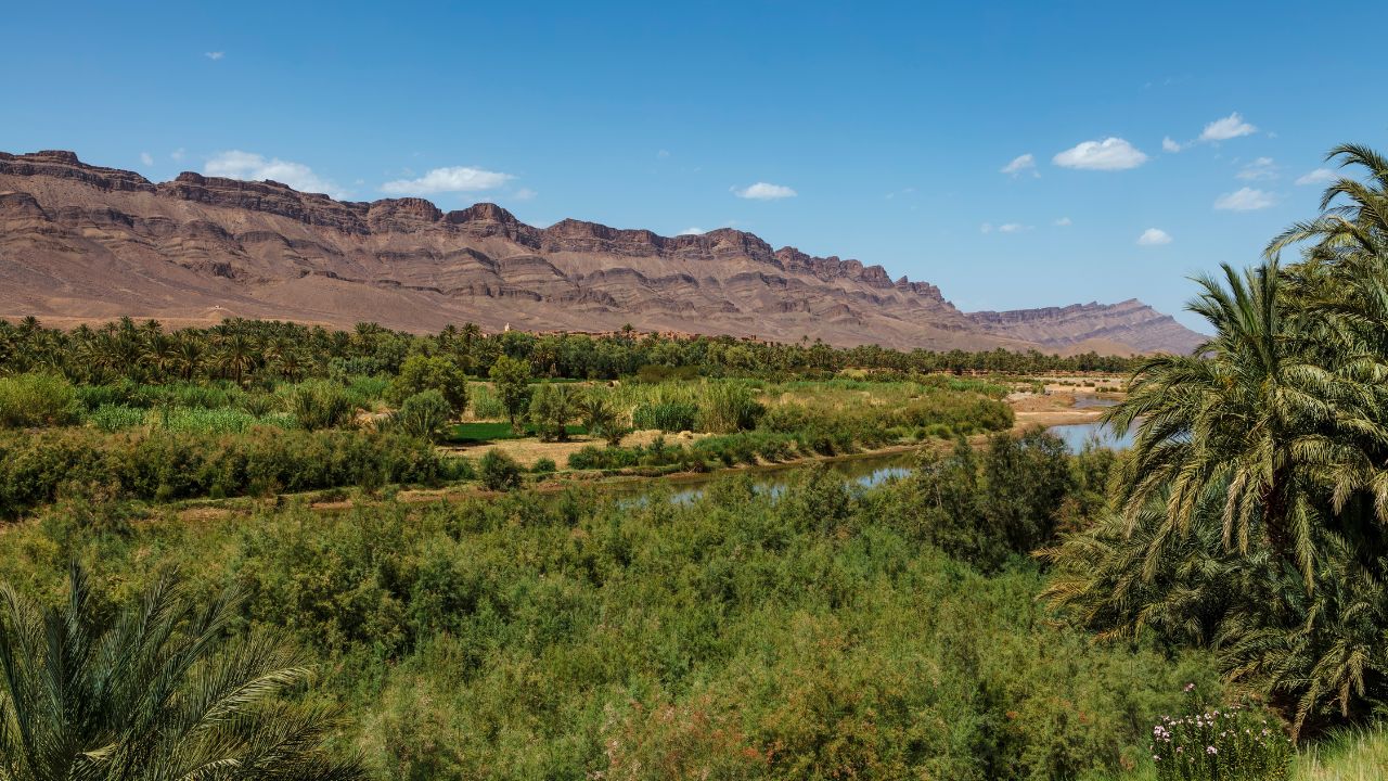 River and green valley of the Draa Valley in Morocco - North Africa