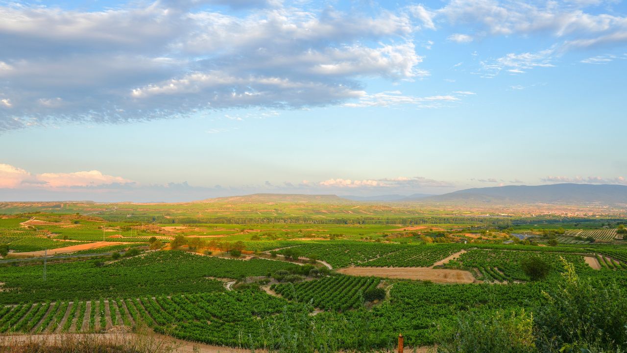 San Asensio town in La Rioja Spain . Panoramic view of the vineyards from the town.