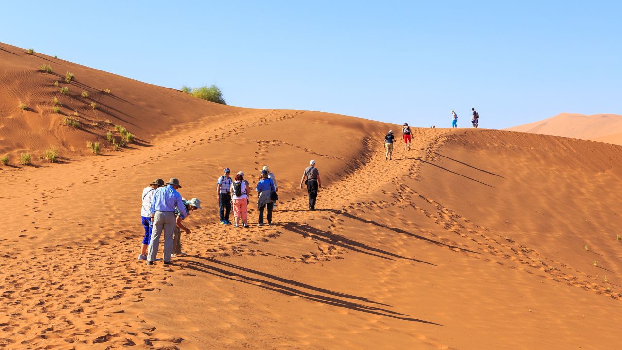 Deadvlei, Sossusvlei, Namibia - 30 September 2018: People walking on the dunes. Namib Naukluft National Park. Sand dunes in the pan of Sossusvlei. Sunrise. Namibia. Africa.