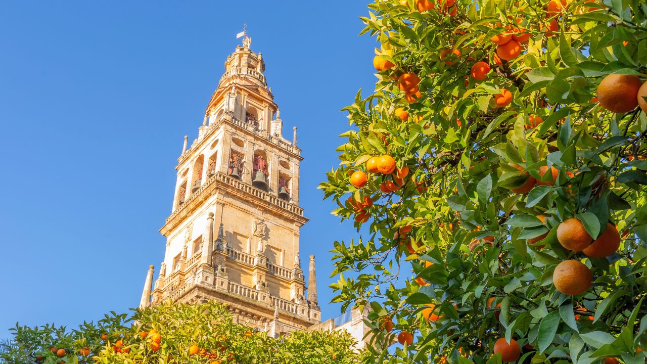 Giralda and orange tree courtyard, It's the name given to the bell tower of the Cathedral of Santa Maria de la Sede of the city of Seville, in Andalusia, Spain.