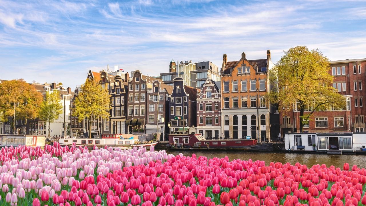 Amsterdam canal houses and spring tulips in the Netherlands