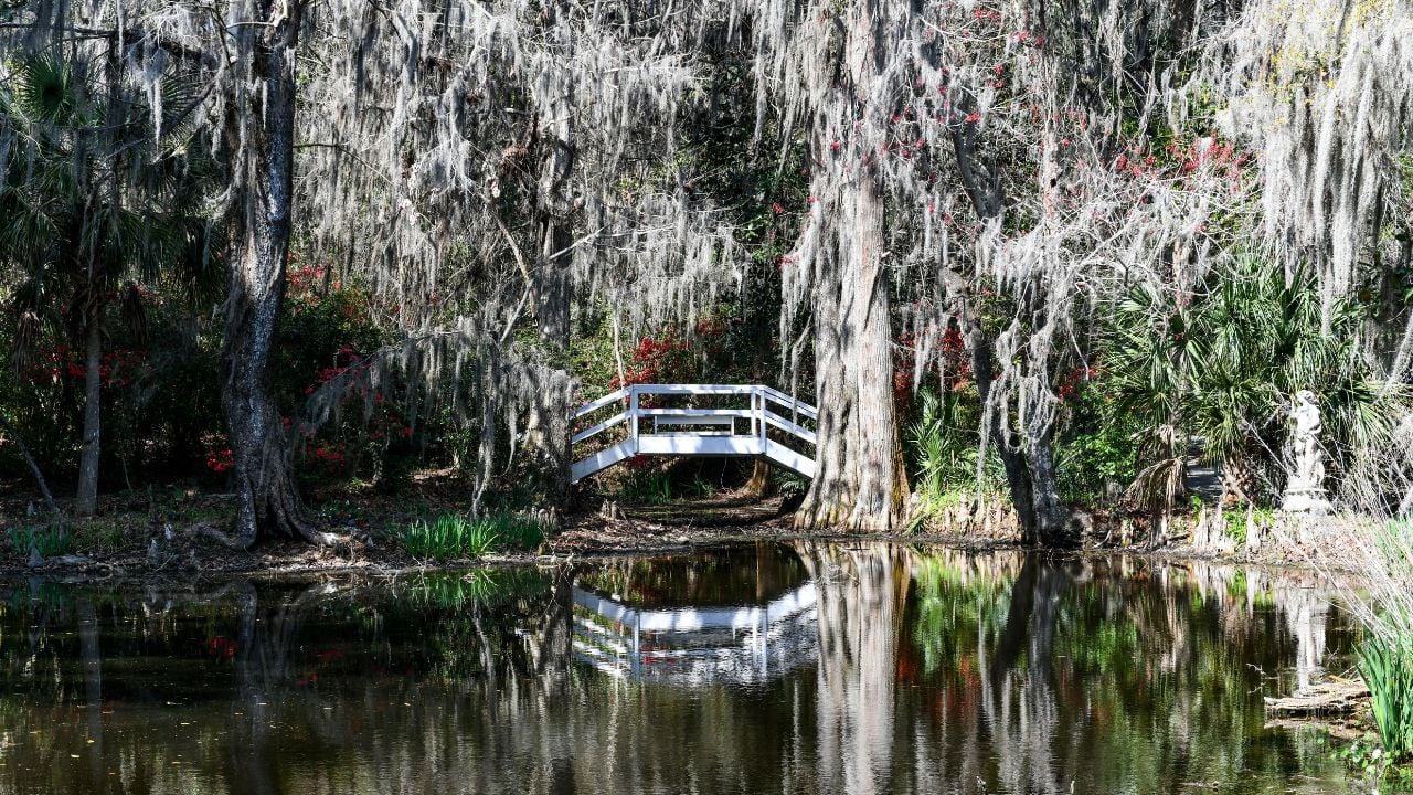 Magnolia Plantation and Garden in Charleston, South Carolina. It is one of the oldest plantations in the South, and listed on the National Register of Historic Places.