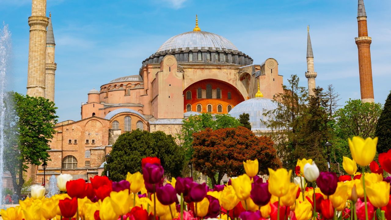Istanbul view in spring. Tulips and Hagia Sophia or Ayasofya Mosque. Travel to Istanbul at spring background vertical photo.