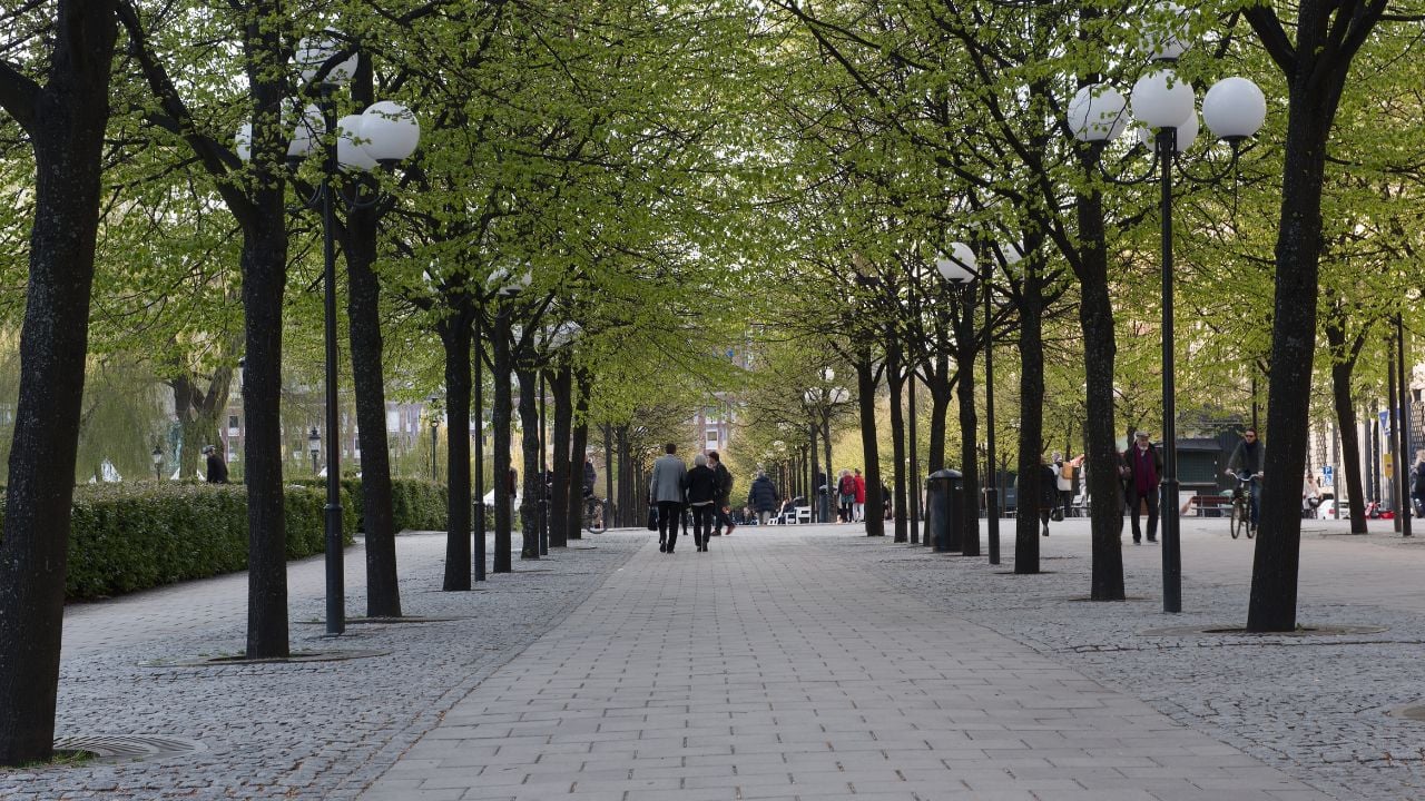 Stockholm, May 07, 2015: People walking along the tree-lined avenue of Kungsträdgården park in Stockholm, with fresh green leaves of spring and classic street lights creating a peaceful urban scene.