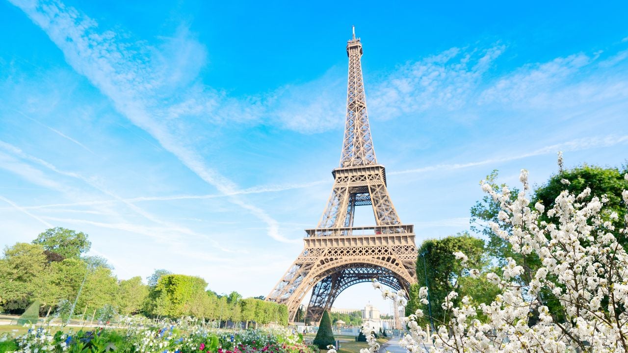 Paris Eiffel Tower spring magnolia flowers in Paris, France. Eiffel Tower is one of the most iconic landmarks of Paris