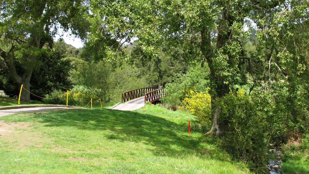 Cart path and bridge at the Tilden Regional Park Golf Course.