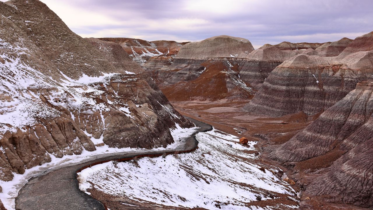 Blue Mesa Scenic Trail, Petrified Forest National Park, Arizona, USA