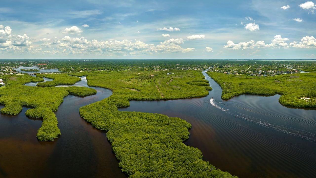 View from above of Florida everglades with green vegetation between ocean water inlets. Natural habitat of many tropical species in wetlands