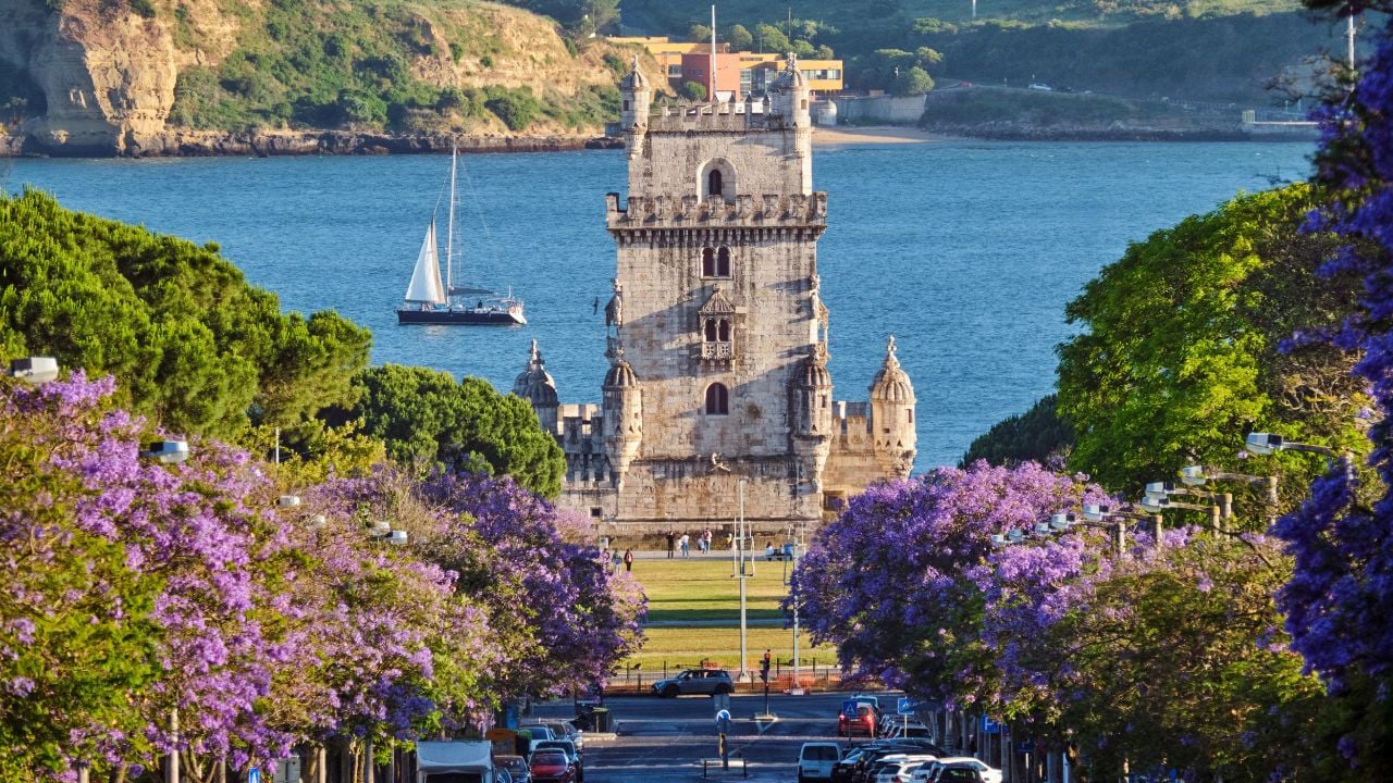 Scenic view of Belem Tower in Lisbon, Portugal, seen over a street with blooming purple jacaranda flower trees street with tourist sailboats on the Tagus River on sunset. Portugal