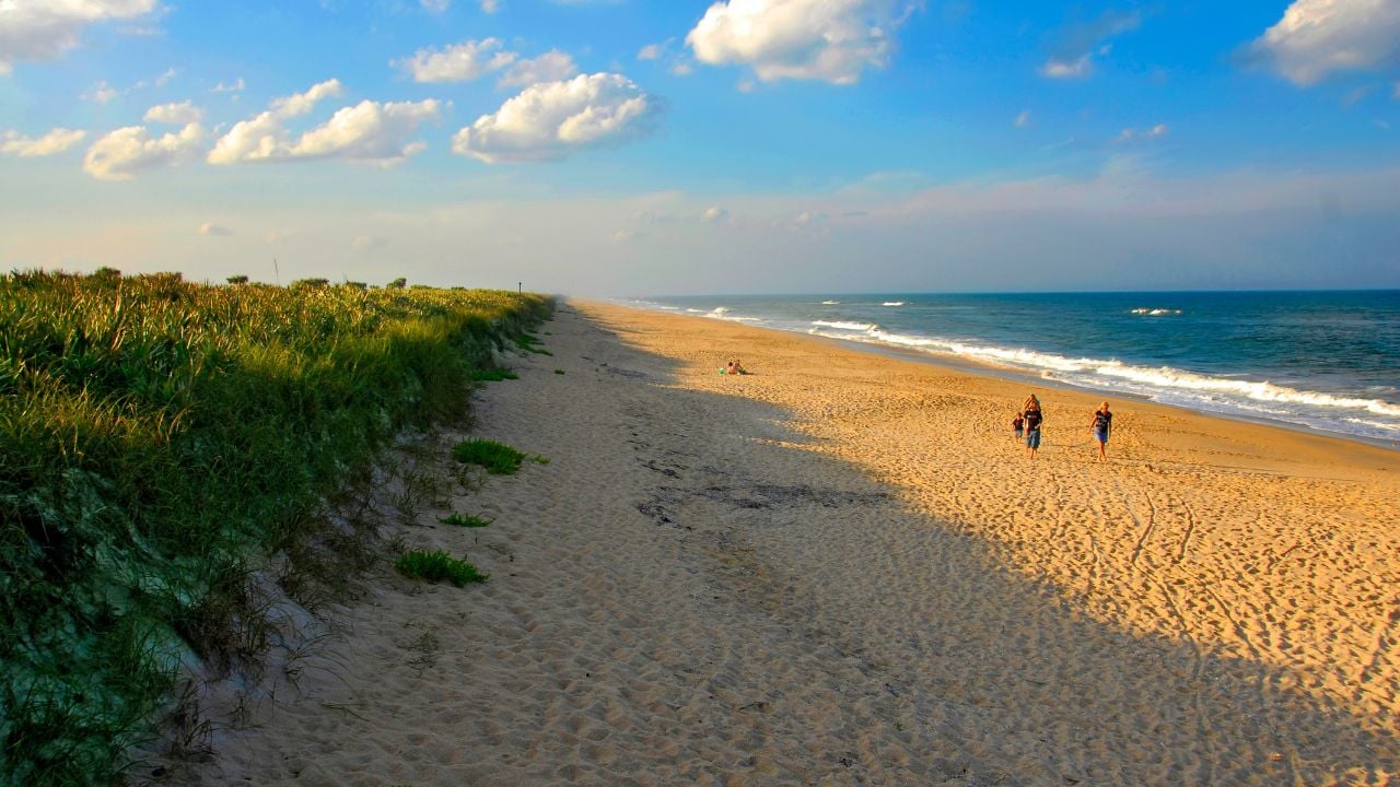 The National Park Service Cape Canaveral National Seashore near Daytona Beach on the Atlantic Ocean in Florida. Created 02.14.25