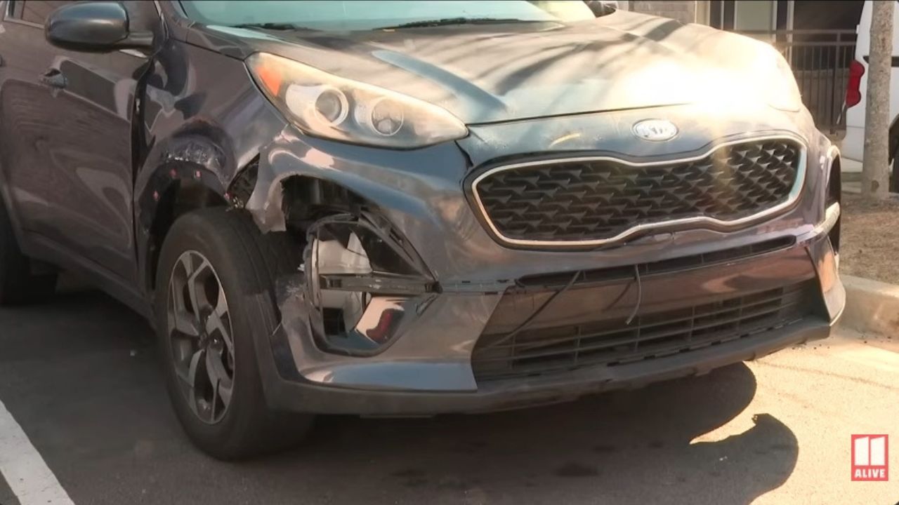 Kia Sportage attacked by pack of dogs.