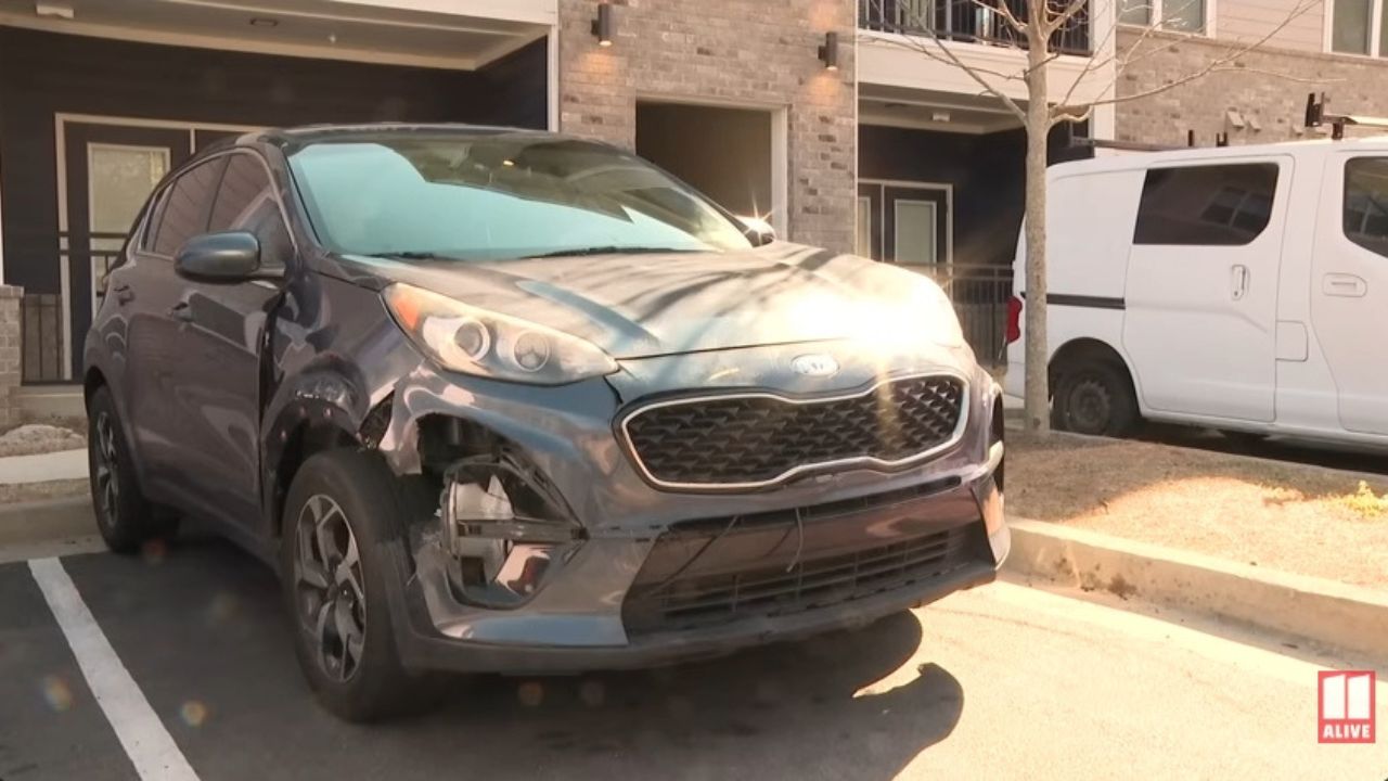 Kia Sportage attacked by pack of dogs.