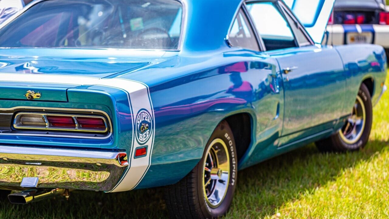 super bee scaled e1778324138342