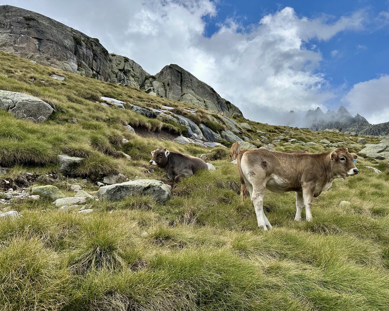Aigüestortes i Estany de Sant Maurici, Spain