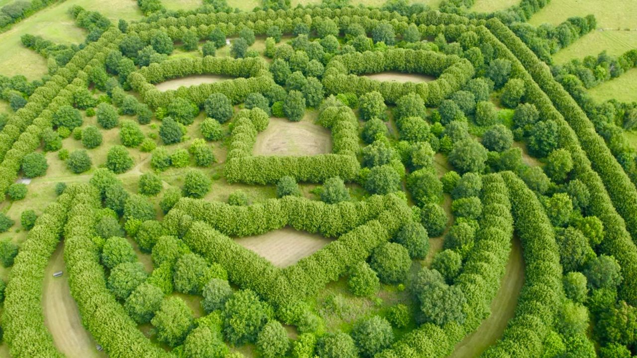 Hans Christian Andersen Forest Denmark