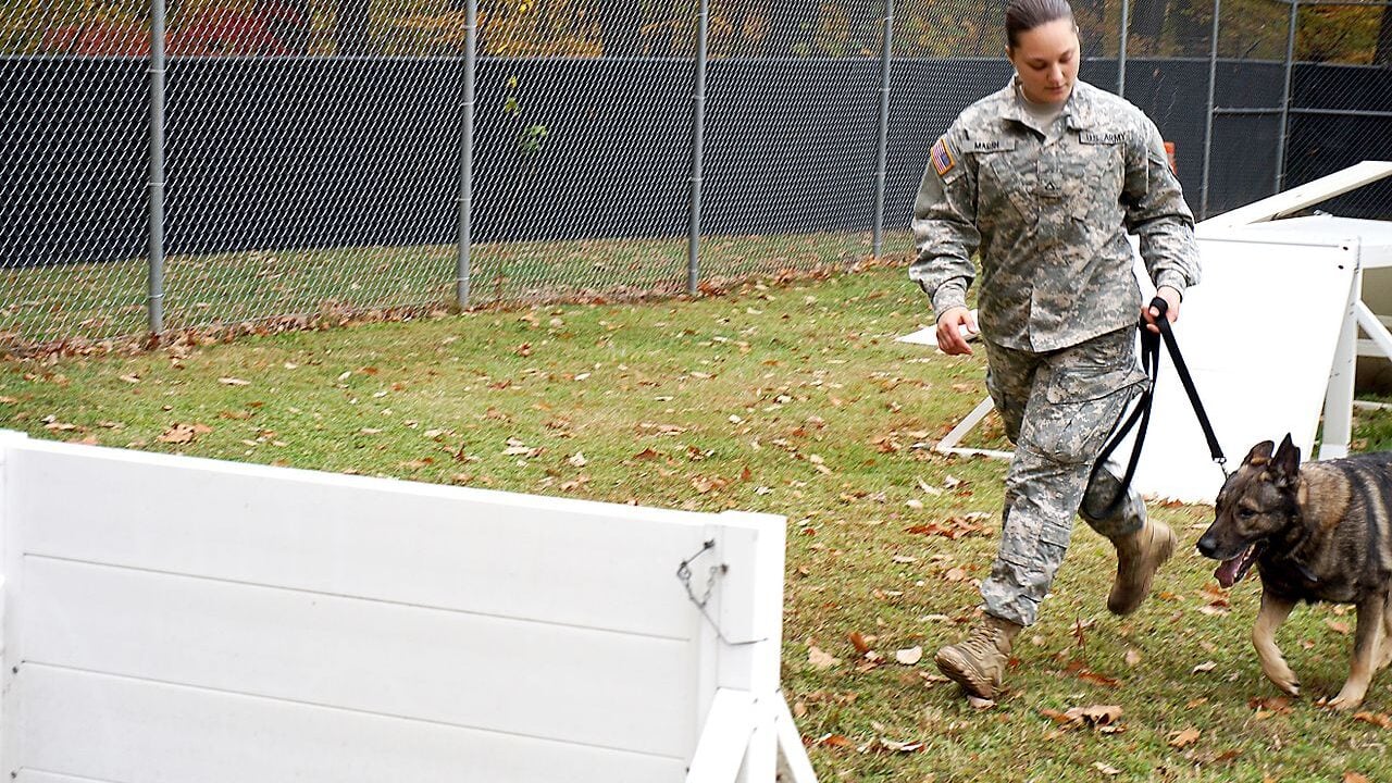 U.S. Army Pfc. Christina Marsh and K9 Roy are evaluated on basic obedience and K9 agility obstacles Nov. 2 at the 947th Military Police Detachment kennel on Fort Belvoir, Va.