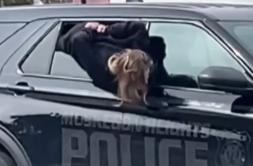 woman escaping from police car handcuffed