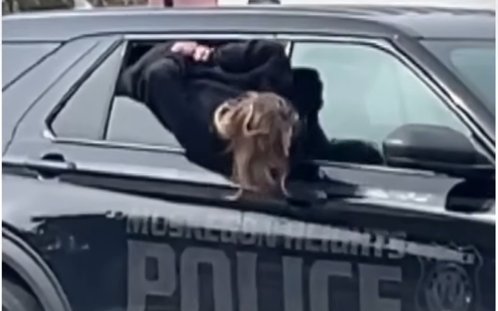 woman escaping from police car handcuffed