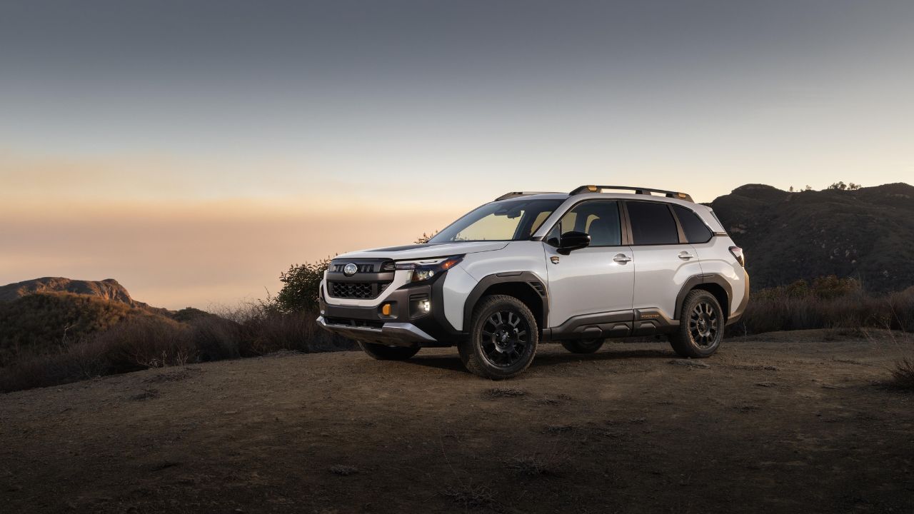 Forester Wilderness
