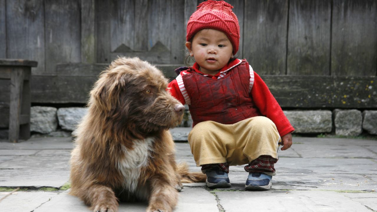 ANNAPURNA, NEPAL - MARCH 20: An unidentified young baby pets her dog in her village on March 20, 2008 in Nepal.