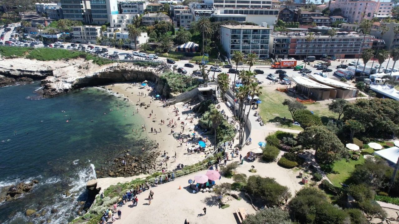 An aerial view of the La Jolla Cove, San Diego.