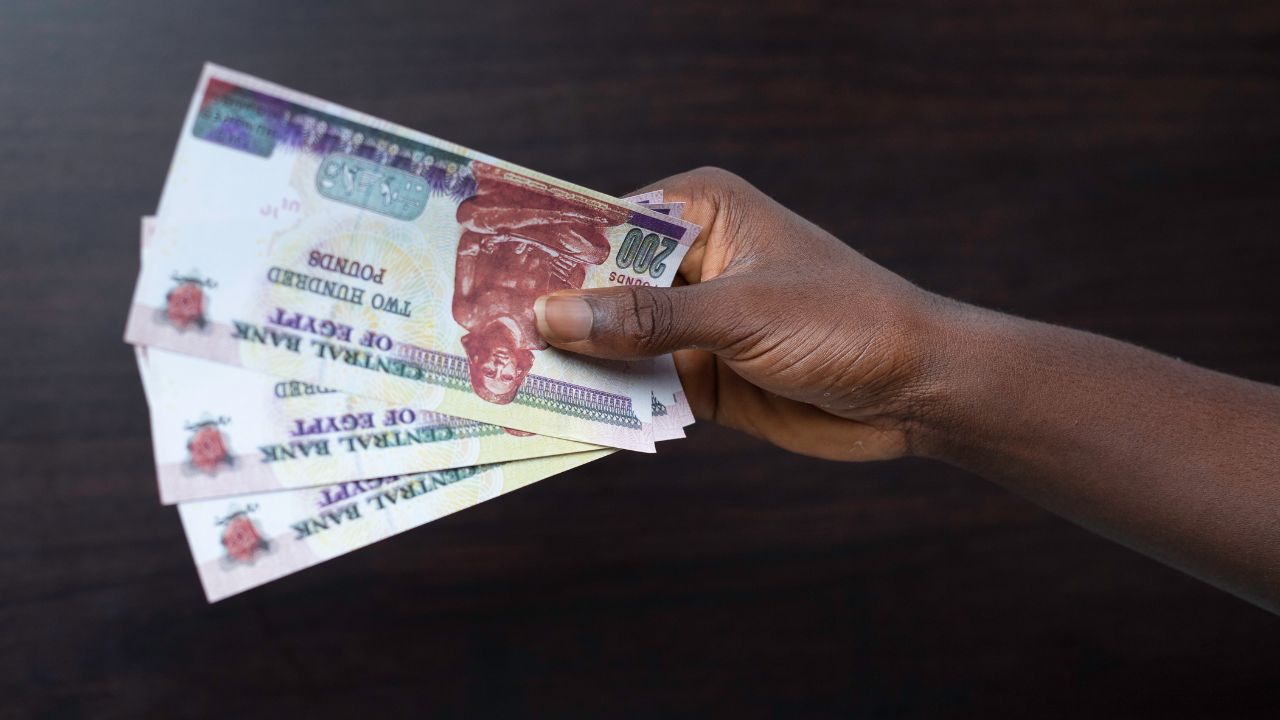 Hand holding Egyptian pound notes