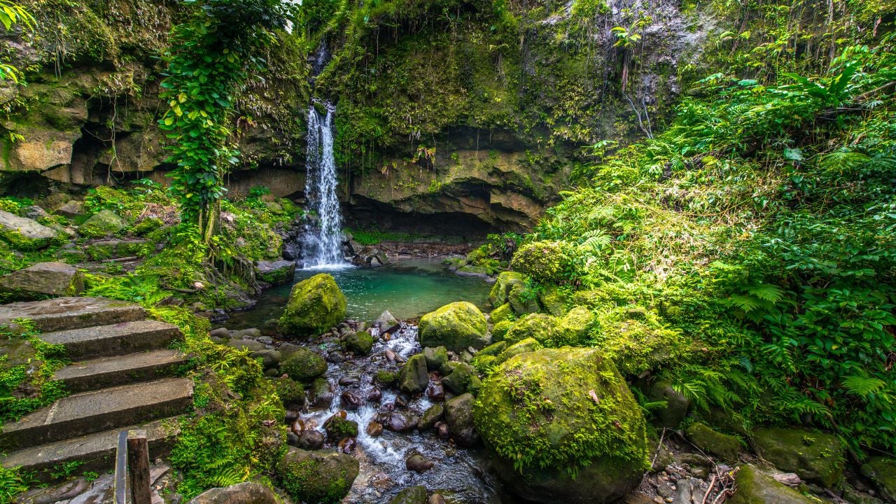 Emerald Pool in Dominica