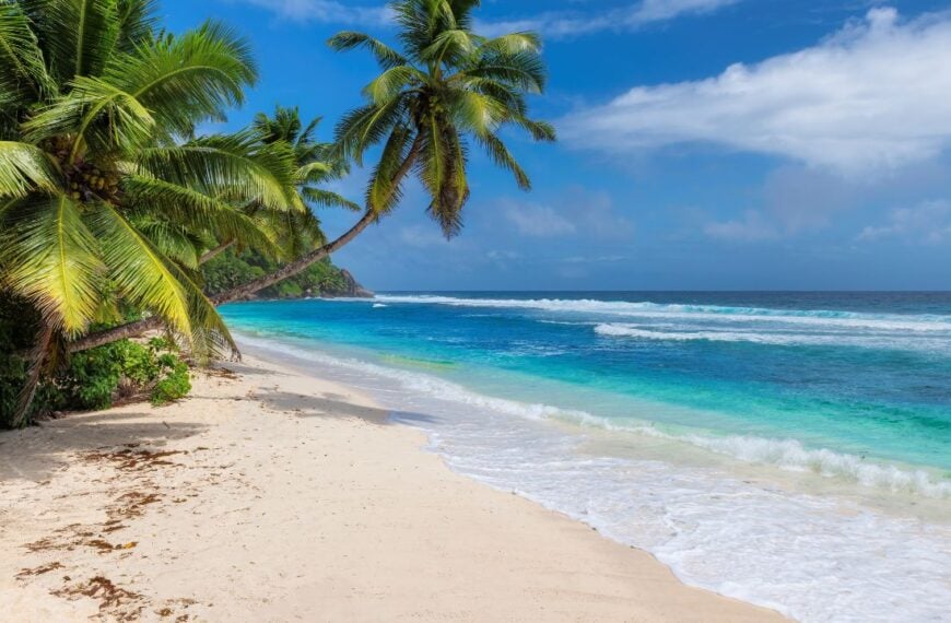 Paradise beach. Coconut palm trees on white sunny beach and Caribbean sea. Summer vacation and tropical beach concept.