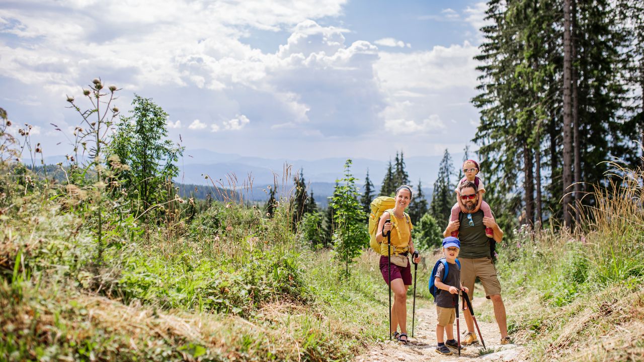 Family with small children hiking outdoors in summer nature
