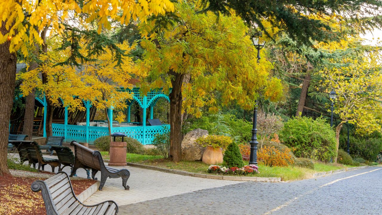 Flowers and trees in Mtatsminda Park in Tbilisi