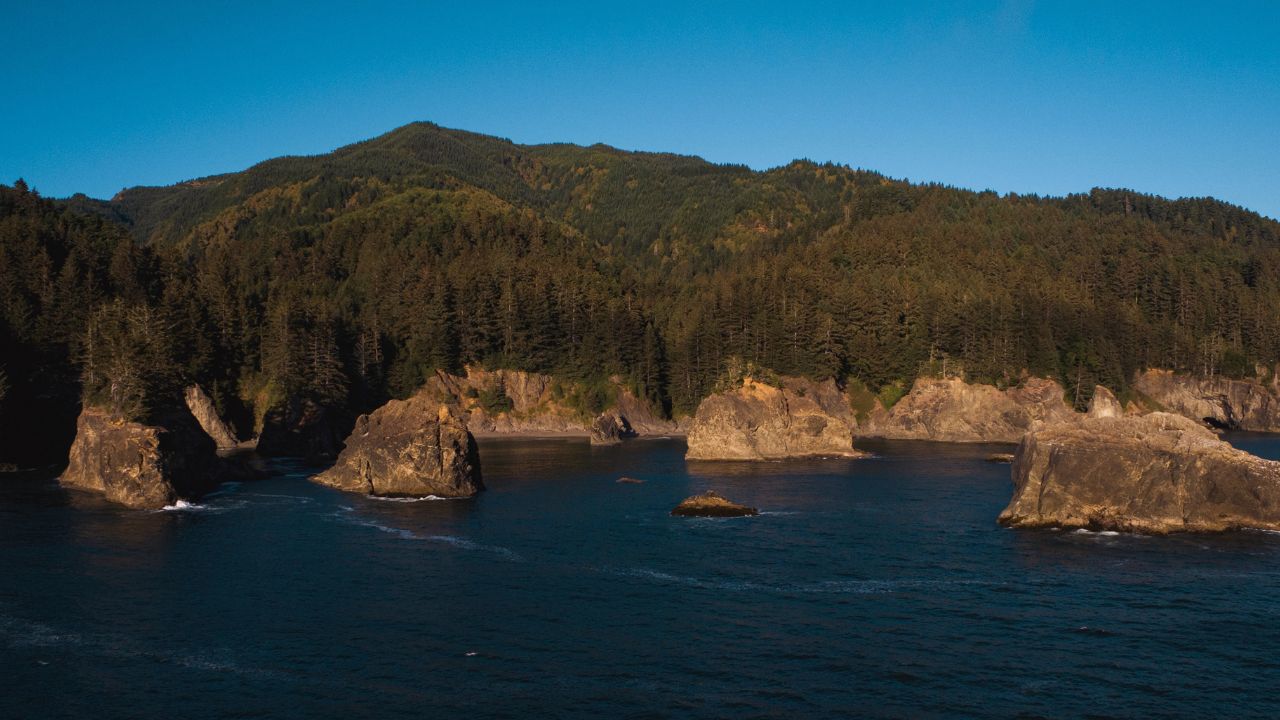 JULY 2024, BROOKINGS, OREGON - haystack sea rocks at Harris State Park North of Brookings, Oregon with fog